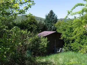 Prodej chaty, Ústí nad Labem, Na Čihadle, 60 m2