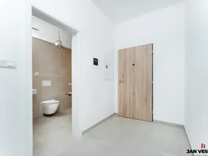 Prodej bytu 1+kk, Plzeň, Železná, 33 m2