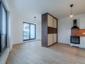 Pronájem bytu 1+kk, Praha - Žižkov, Malešická, 39 m2