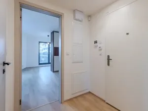 Pronájem bytu 1+kk, Praha - Žižkov, Malešická, 39 m2