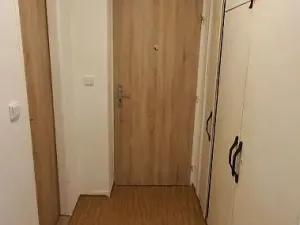 Pronájem bytu 1+1, Bor, 36 m2