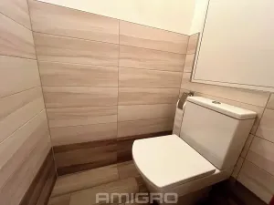 Pronájem bytu 3+1, Mokrá-Horákov, 72 m2
