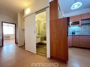 Pronájem bytu 3+1, Mokrá-Horákov, 72 m2