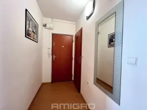 Pronájem bytu 3+1, Mokrá-Horákov, 72 m2