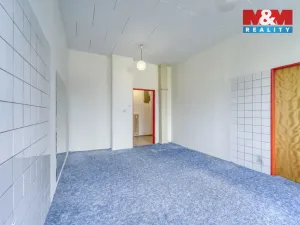 Pronájem obchodního prostoru, Nepomuk, Na Vinici III., 39 m2