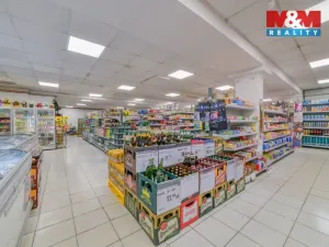 Prodej obchodního prostoru, Žlutice, Mlýnská, 845 m2
