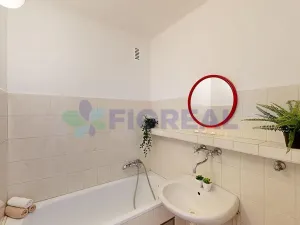 Prodej bytu 3+1, Pardubice, Prodloužená, 57 m2