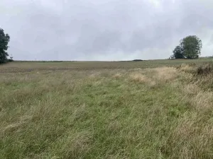 Dražba louky, Kostelec nad Černými lesy, 15764 m2