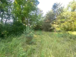 Dražba pozemku pro bydlení, Moravský Písek, 2722 m2