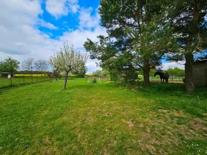 Prodej rodinného domu, Malinová, 105 m2