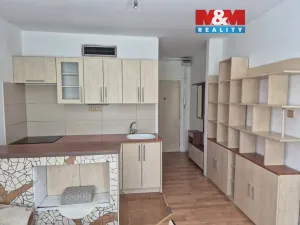 Pronájem bytu 2+kk, Ústí nad Labem - Střekov, Tolstého, 39 m2