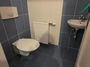 Pronájem bytu 3+1, Planá, 105 m2