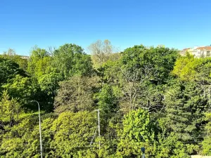 Prodej bytu 1+kk, Brno, Drobného, 38 m2