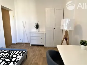 Pronájem pokoje, Brno, Solniční, 16 m2