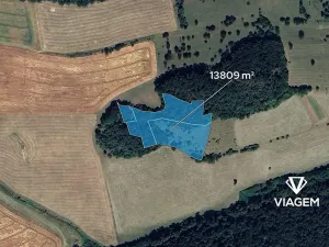 Prodej podílu lesa, Prackovice nad Labem, 2761 m2