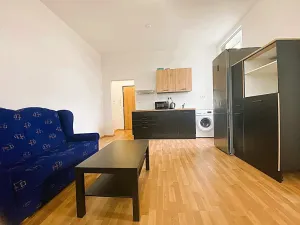 Pronájem bytu 1+kk, Čistá, 41 m2