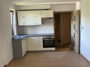 Pronájem bytu 1+1, Liberec, Šlikova, 38 m2