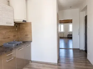 Pronájem bytu 1+1, Teplice, Duchcovská, 48 m2