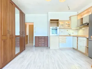 Prodej bytu 1+kk, Zeleneč, Čsl. armády, 37 m2