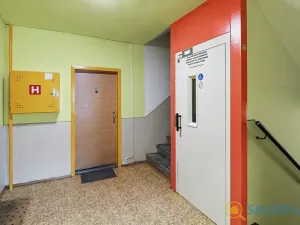 Prodej bytu 3+1, Nový Bor, Hřebenka, 81 m2