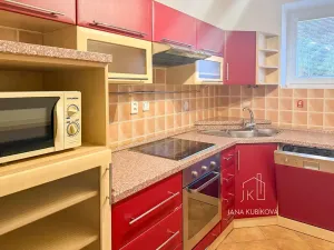 Pronájem bytu 2+1, Kyjov, Sv. Čecha, 60 m2