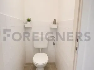 Pronájem bytu 1+1, Brno, Mezírka, 50 m2