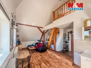 Prodej rodinného domu, Litoměřice - Předměstí, Na Vinici, 200 m2