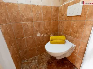 Prodej rodinného domu, Třebusice, 170 m2