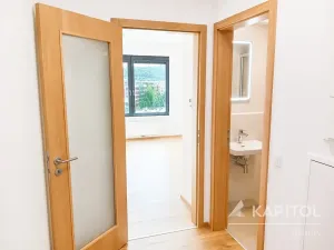 Pronájem bytu 2+kk, Praha - Karlín, Sokolova, 40 m2