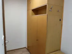 Pronájem bytu 1+1, Přerov, U Tenisu, 42 m2