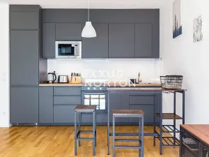 Prodej bytu 1+kk, Praha - Žižkov, U Viktorie, 40 m2