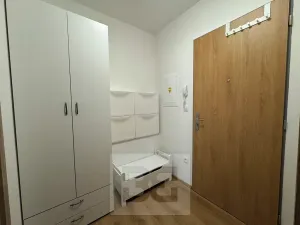 Pronájem bytu 1+kk, Boskovice, Na Výsluní, 38 m2