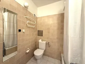 Pronájem bytu 2+kk, Praha - Vokovice, Ke dvoru, 49 m2