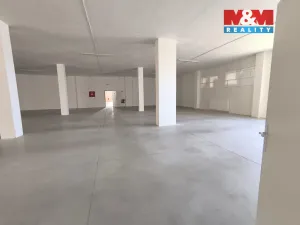 Pronájem obchodního prostoru, Ústí nad Labem - Severní Terasa, Stříbrnická, 1286 m2