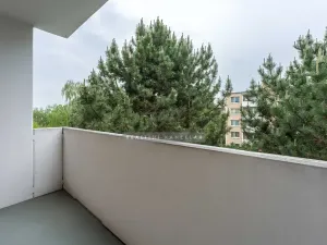 Pronájem bytu 1+1, Šlapanice, 30 m2