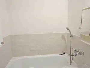 Pronájem bytu 2+1, Jihlava, Žižkova, 56 m2