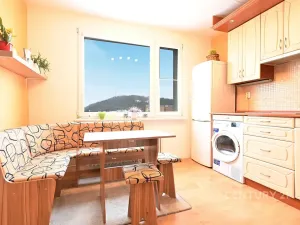 Prodej bytu 1+1, Bílina, Sídliště Za Chlumem, 35 m2