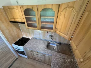 Pronájem bytu 1+1, Bílina, Alšova, 27 m2