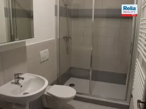 Pronájem bytu 1+1, Liberec, Tovaryšský vrch, 43 m2