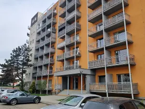 Prodej bytu 1+kk, Brno, Božetěchova, 23 m2