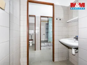 Prodej ubytování, Pšov - Močidlec, 371 m2