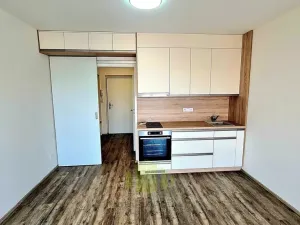 Pronájem bytu 1+kk, Olomouc, Wolkerova, 34 m2