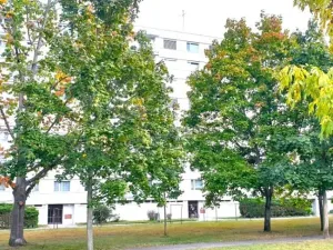 Pronájem bytu 3+kk, Hradec Králové, Milady Horákové, 68 m2