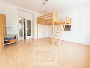 Pronájem bytu 2+1, Praha - Žižkov, Hartigova, 80 m2
