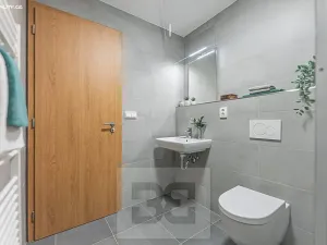 Pronájem bytu 1+kk, Hradec Králové, Pražská třída, 25 m2
