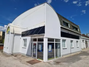 Pronájem výrobních prostor, Havířov - Bludovice, Těšínská, 450 m2