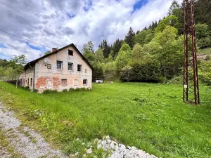 Prodej chalupy, Branná, 241 m2