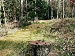 Prodej chaty, Vrábče, 48 m2