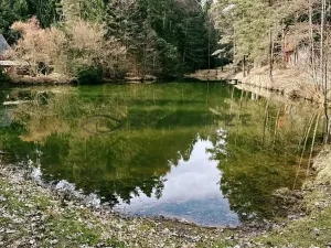Prodej chaty, Vrábče, 48 m2
