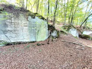 Prodej pozemku pro bydlení, Kanina, 10842 m2